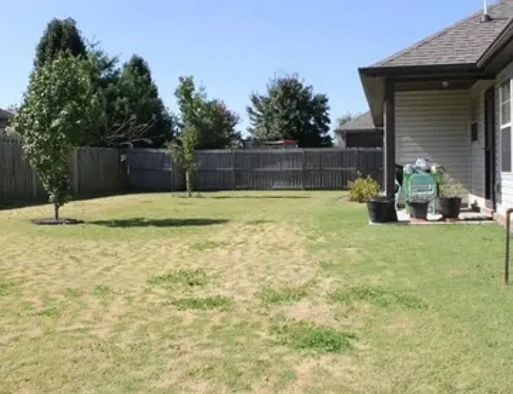 Back Yard #2