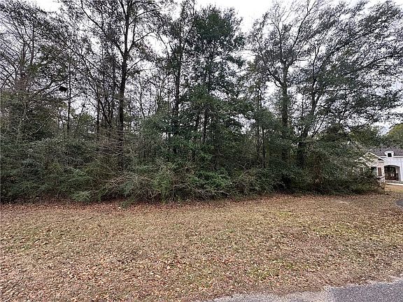 3rd image of 0 Timber Springs Dr