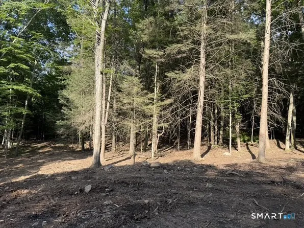 Lot 1 West Chalybes Road, Roxbury, CT 06783