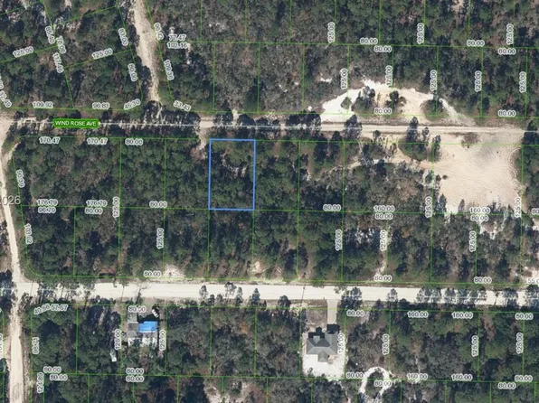 411 Wind Rose Ave, Lake Placid, FL 33852