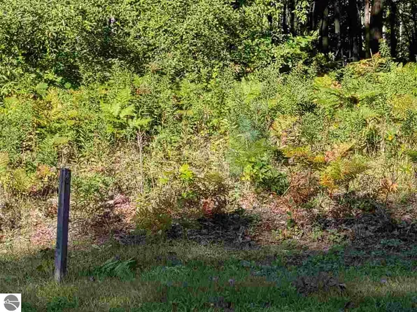 5817 Huron Woods Dr, Tawas City, MI 48763