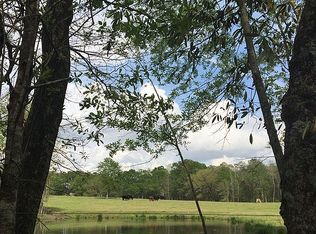 Ben Wilson Rd, Carriere, MS 39426