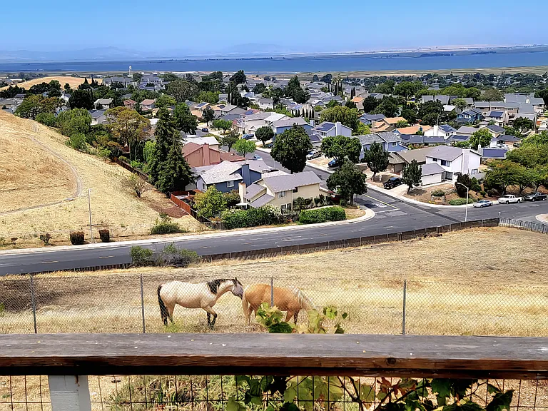2032 Rapallo Way — Photo 33