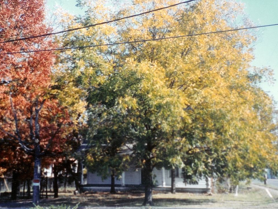 Corner of E. Watauga and N. Broadway