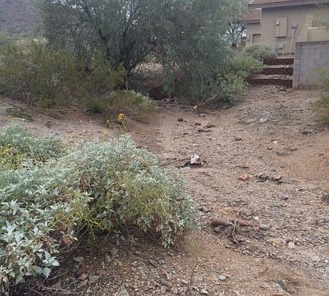 4th image of 18308 W Santa Irene Dr