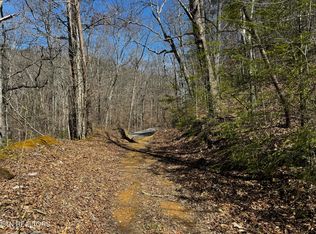 Melvin Hollow Rd, Pioneer, TN 37847