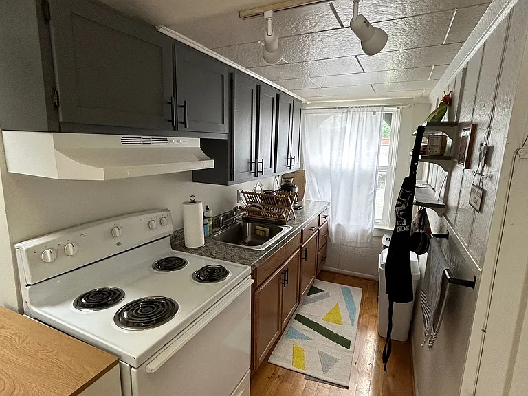 161 Rutgers St #3 — Photo 4