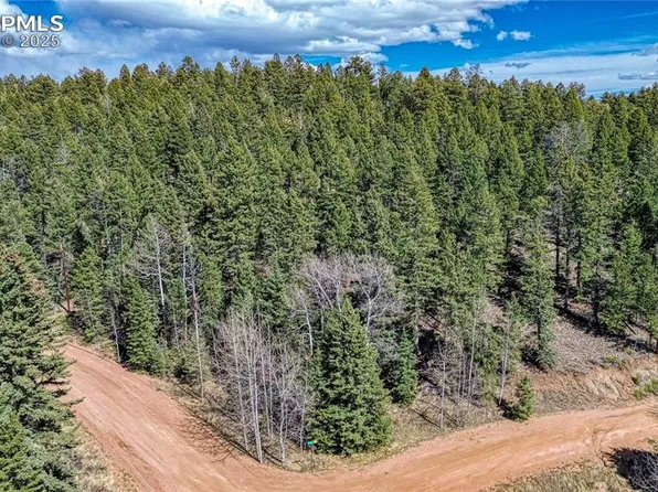 3075 N Mountain Estates Rd, Florissant, CO 80816