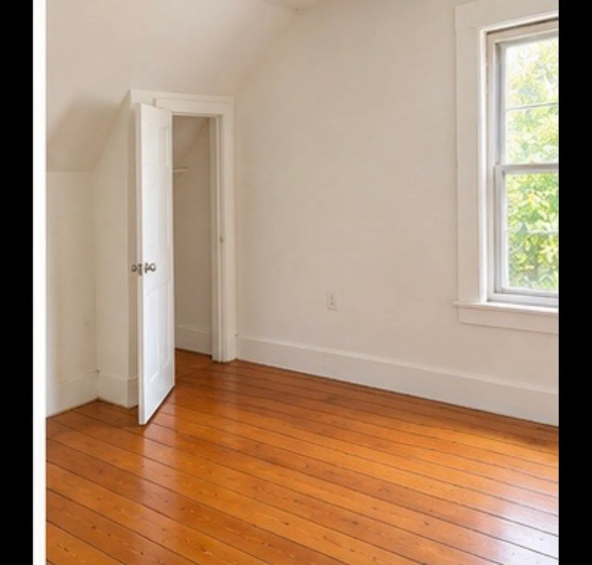 2 bed, 1000 sqft, $1,650 — Photo 4