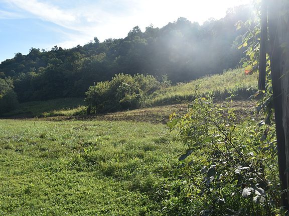 5th image of 0 Happy Hollow Ln