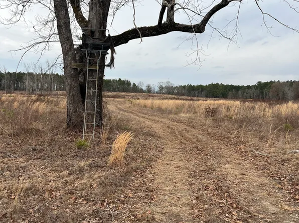 0 Studstill Rd, Eastman, GA 31023