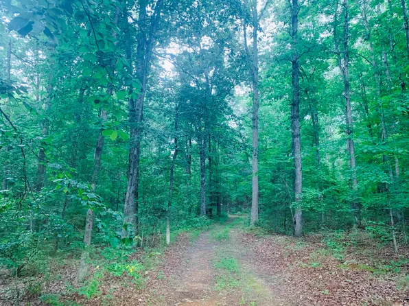 665 Hightop Ln, Fifty Six, AR 72533