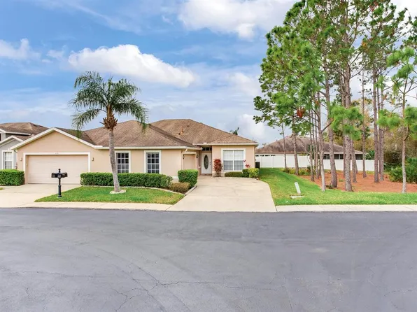 10138 Mowry Ln, Tampa, FL 33625