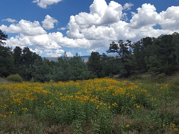 5th image of County Road 634.2 Parcel 8