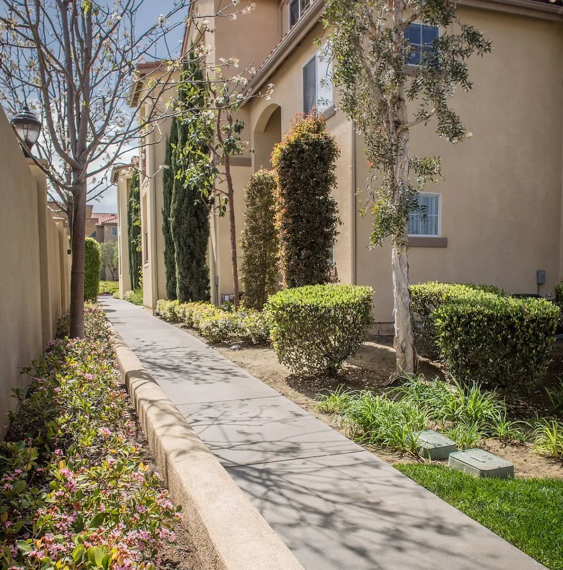 Laguna Canyon — Photo 3