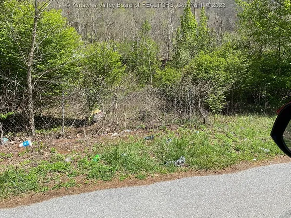 295 Proctor Bottom Rd, Amherstdale, WV 25607