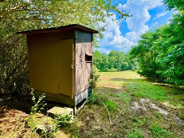 0 Bailey Rd, Double Springs, AL 35553