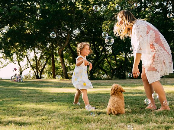 Quick Move In Home by Ashton Woods