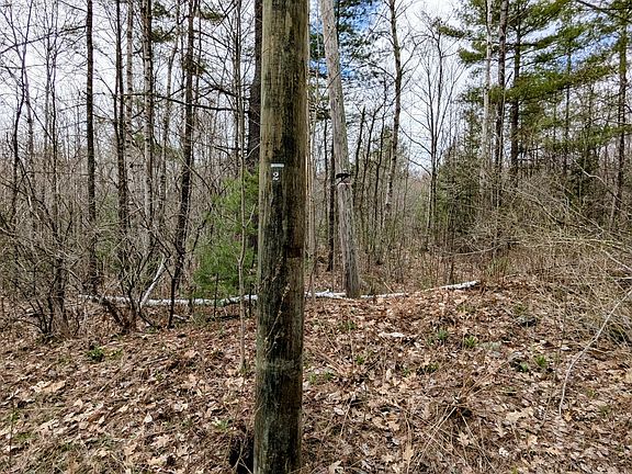 3rd image of M2 L8-11 Old County Road