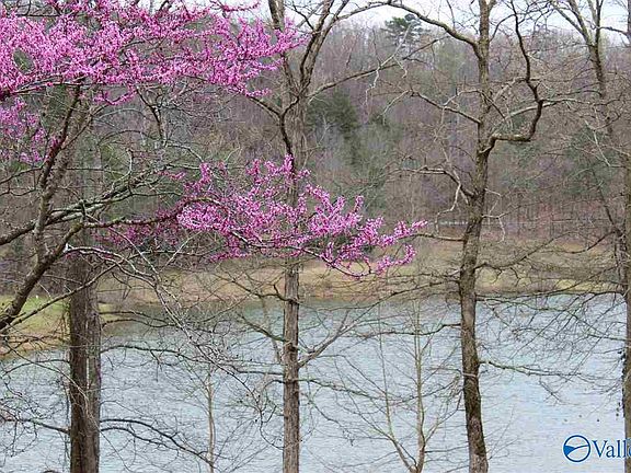 4th image of 3729 Timberlake Ct SW