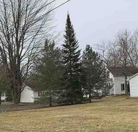 Property Rear View