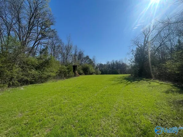 Bishop Mountain Rd, Grant, AL 35747
