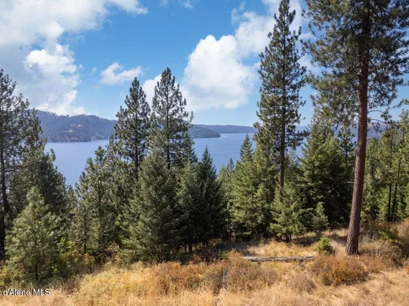 L11 B2 Empty Nest Ln, Harrison, ID 83833