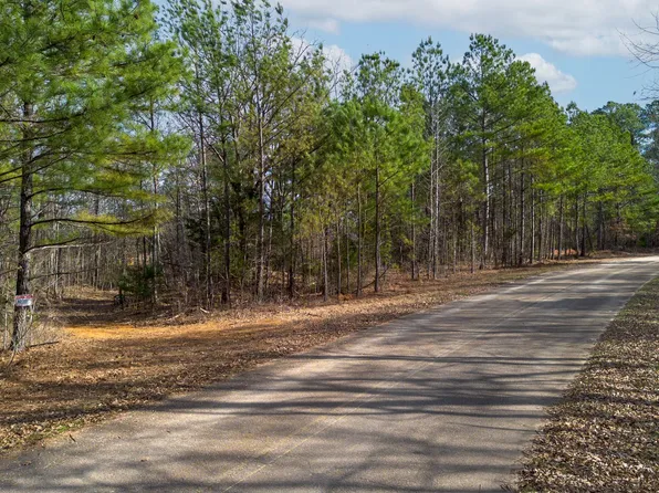 Olde Tennessee Trl, Springville, TN 38256