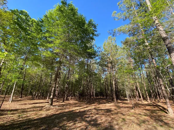 309 Exploration Rd, New Waverly, TX 77358