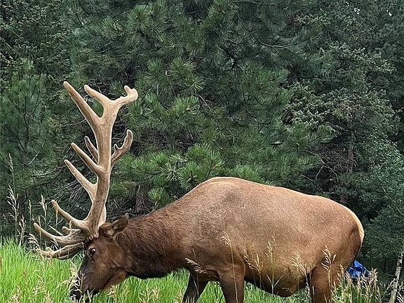 5th image of 5312 Adahi Road