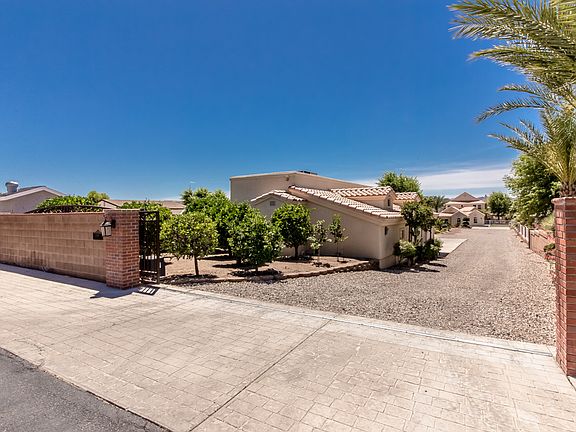 Orange & lemon trees