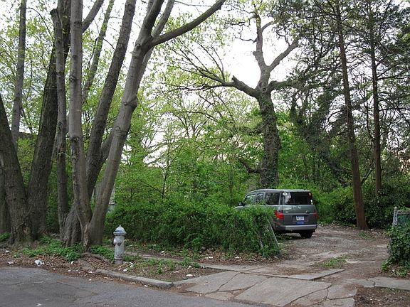 5th image of Ditmas Park