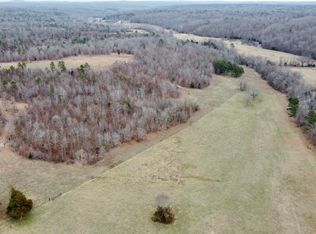 0 Carter #316, Ellsinore, MO 63937