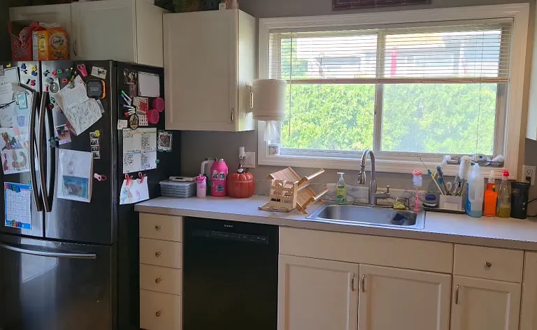 Brittania Cir — Photo 9
