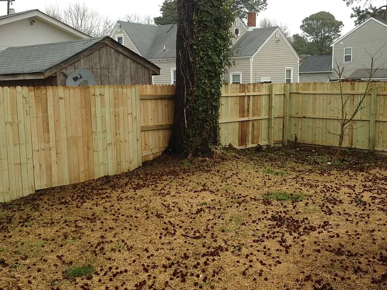 Back Yard
