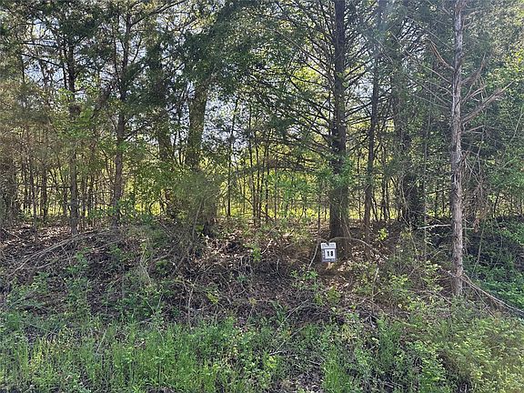 4th image of TRACT 18 County Road 2960