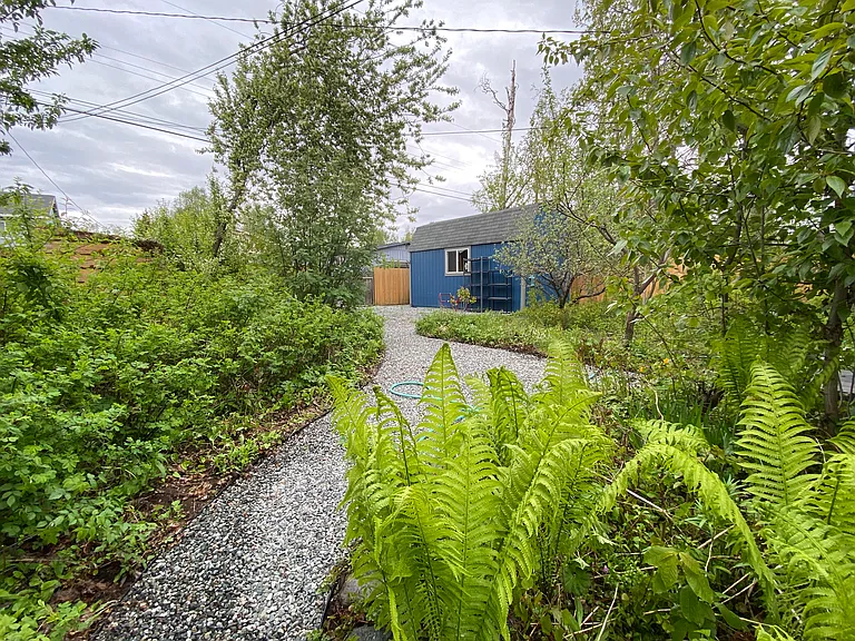 View of the back yard and shed