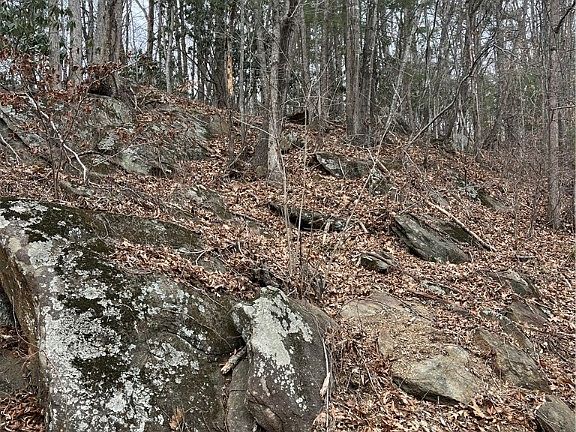 5th image of TBD Ginger Mountain Lane