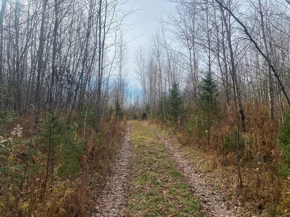 Near Right Of Way Rd, Butternut, WI 54514