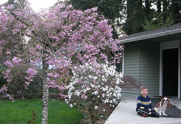 2nd image of 2949 W Lake Sammamish Pkwy NE