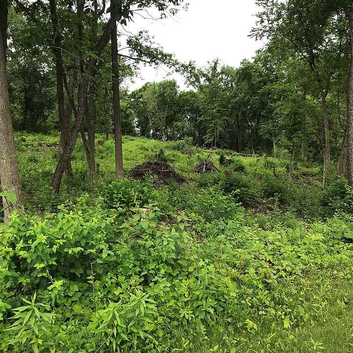 2nd image of 3221 Rockport Park Dr