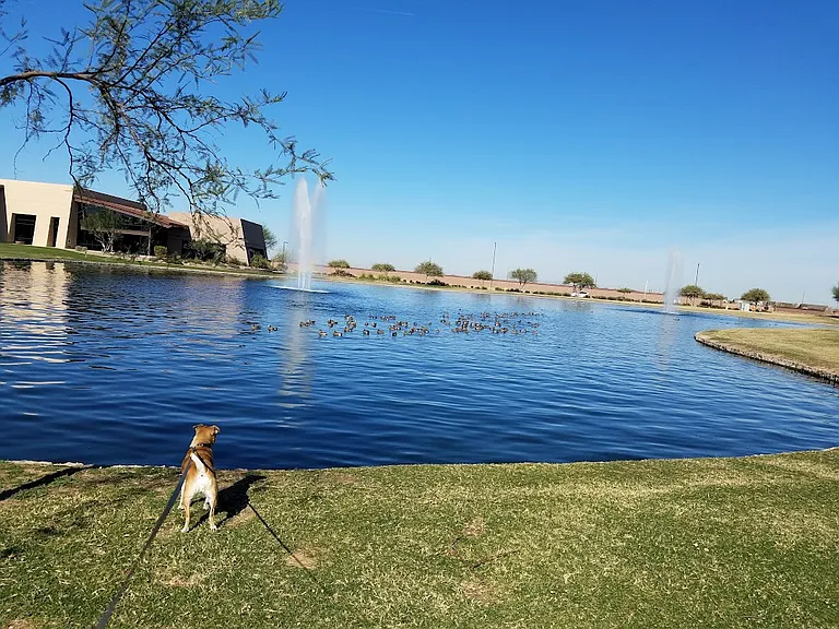 Adora Trails community fishing lake
