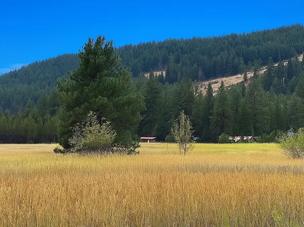 3349 Rockcut Rd #Ff, Kettle Falls, WA 99141