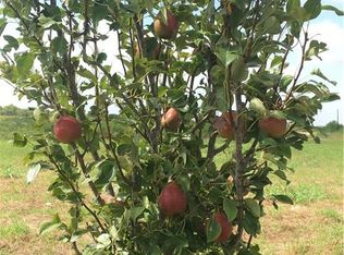 629 Lcr 310, Mart, TX 76664