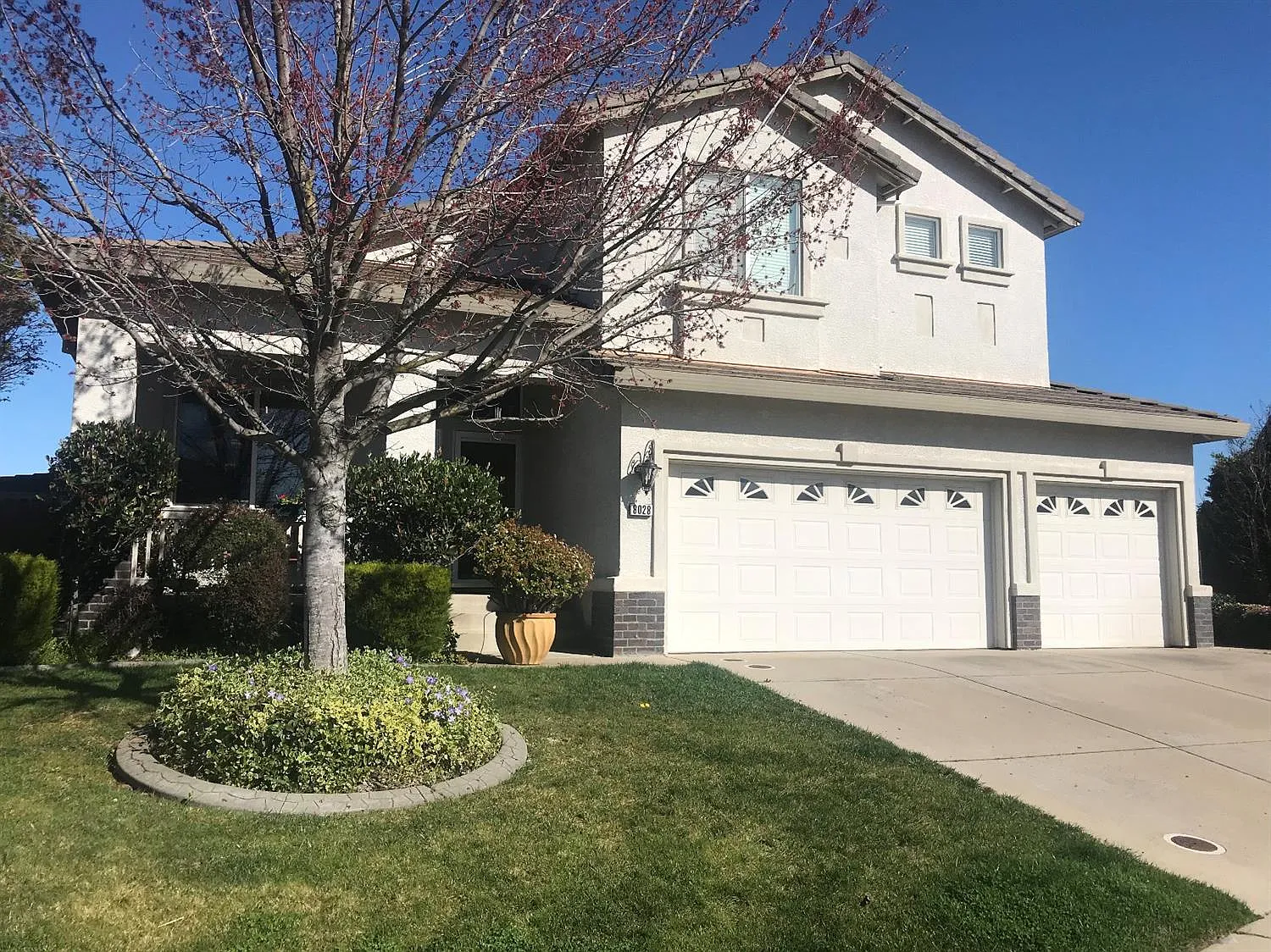 8028 Haldeman Way photo 1