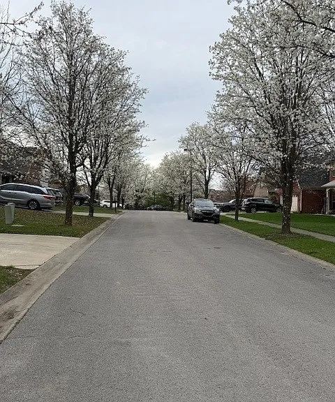 401 Welsh Park — Photo 22