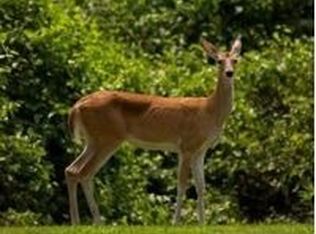 2515 Coyote Run, Beloit, WI 53511