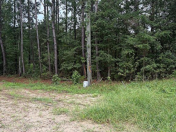 5th image of 1011 Broomstraw Hill Rd