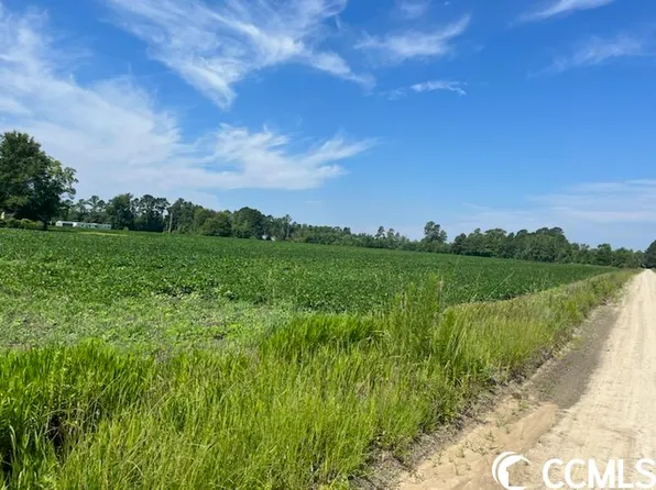 TBD N Leo Rd., Lake City, SC 29560