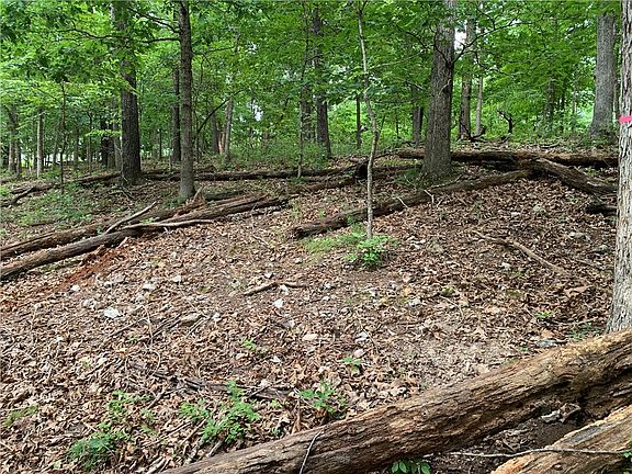 2nd image of LOT 5 Sheidaig Ln